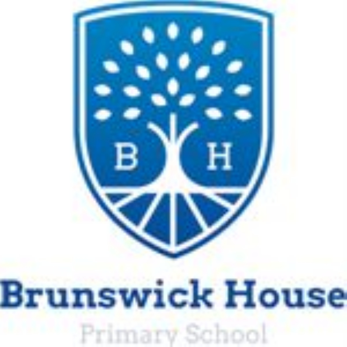 Brunswick House Primary School Foundation Stage Virtual Tour